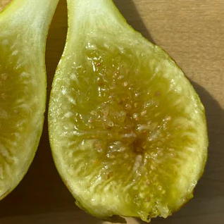 All Plants & Products